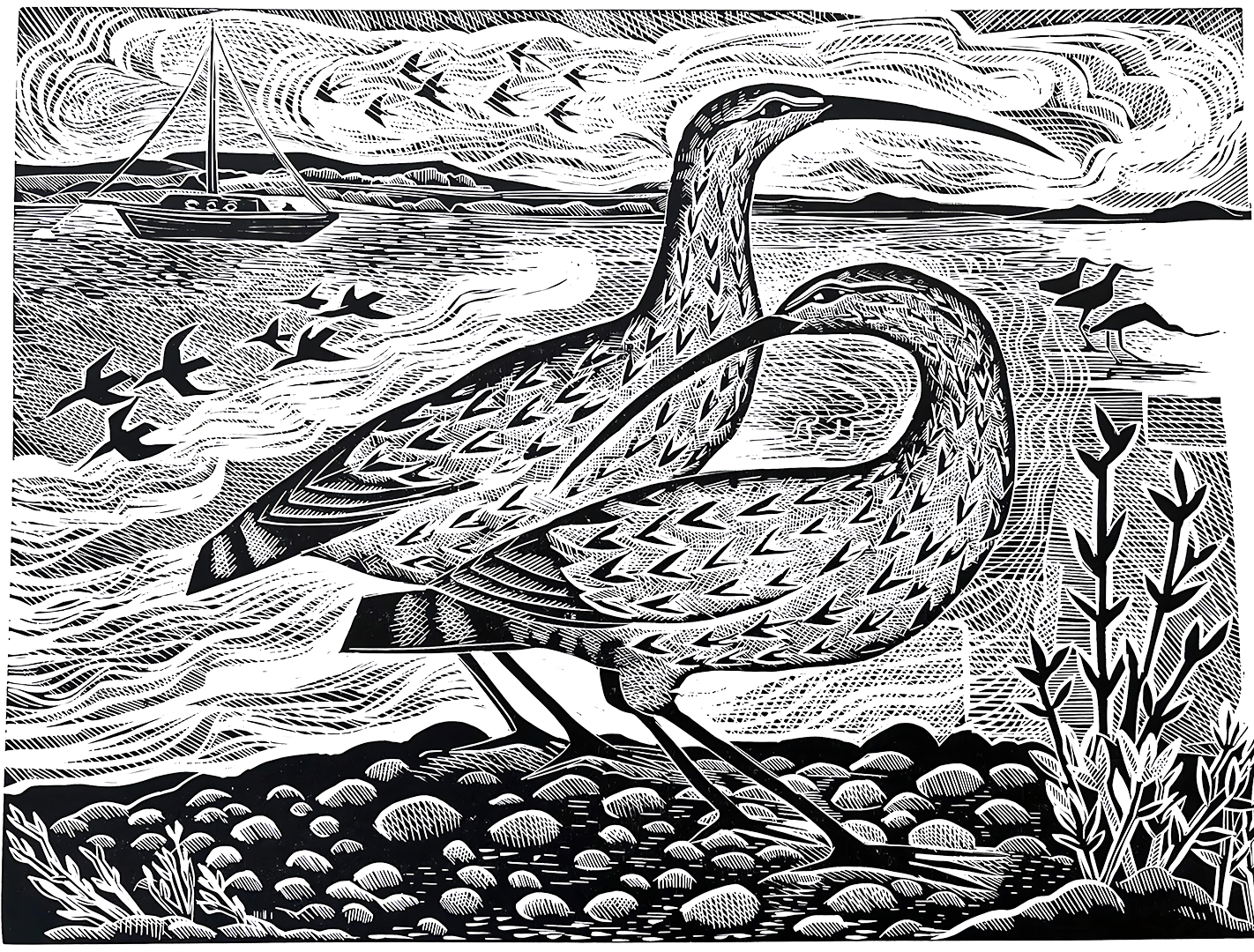 Angela Harding Curlew on the River Deben