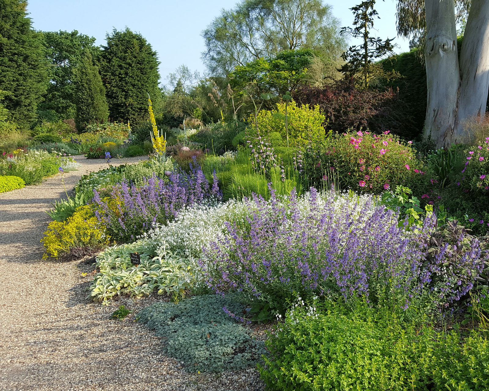 Image of garden planted for a drier climate