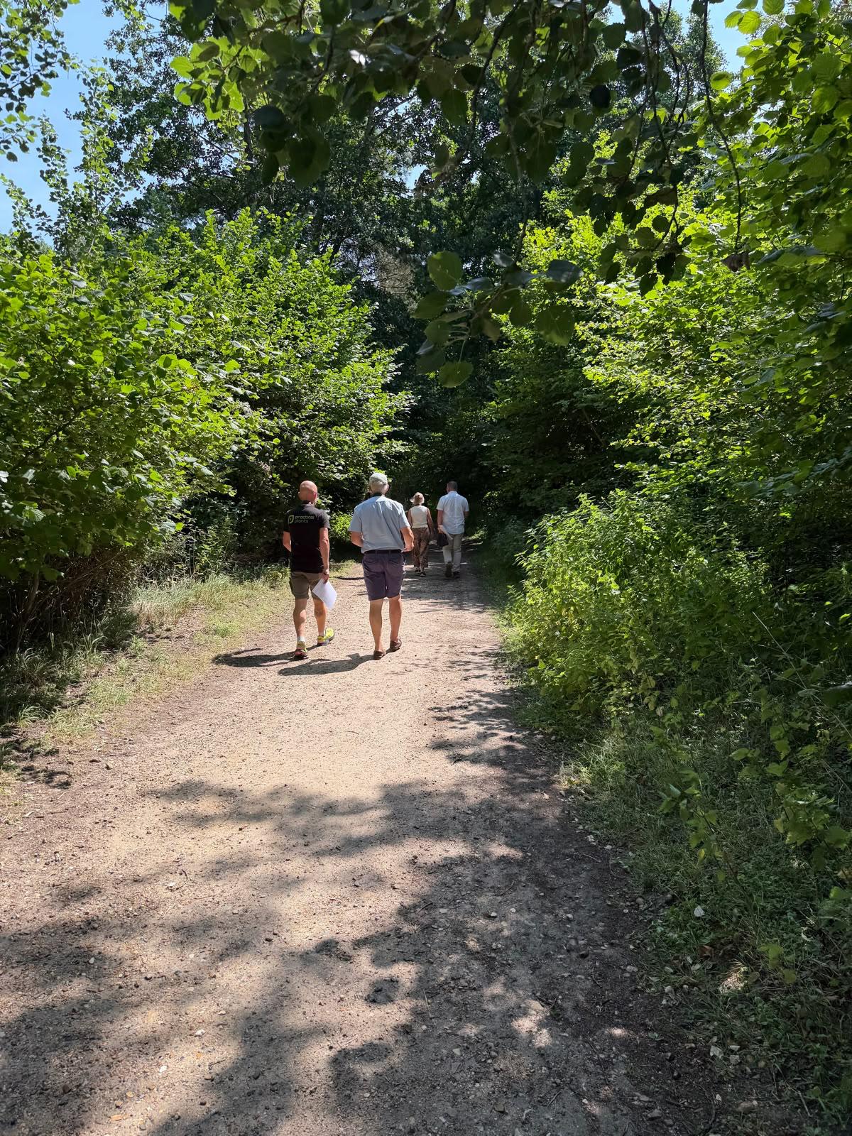 People attending the summer netwalking event, walking through a reserve aligned with trees either side of the path