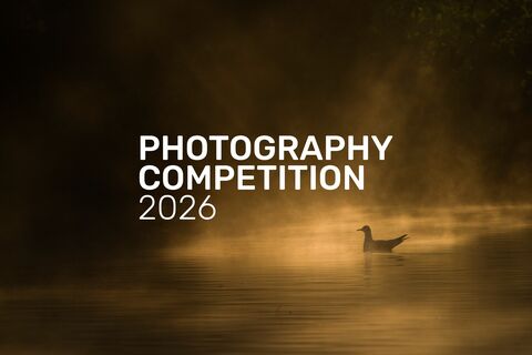 Photography Competition 2026