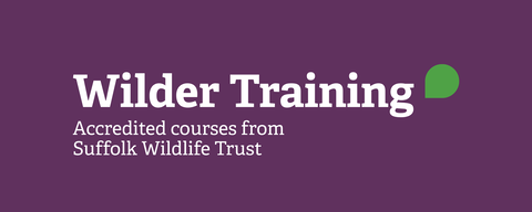 Wilder Training webpage header banner