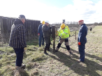 Volunteers putting up rabbit fencing