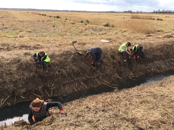 Carlton Marshes volunteers