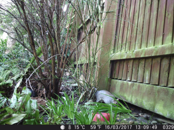 Camera testing - squirrel