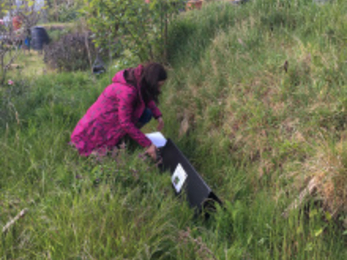 Footprint tunnel checks