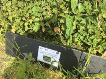 Hedgehog footprint tunnel