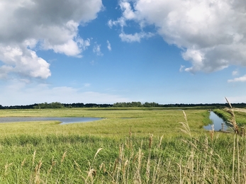 Petos Marsh - Louise Gregory 