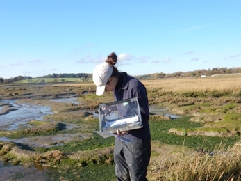 Charlie McMurray monitoring saltmarsh