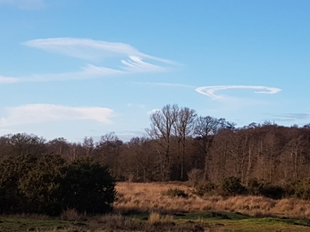 Swirly clouds at Redgrave & Lopham Fen - Debs Crawford