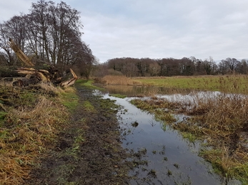 Swollen River Waveney at Redgrave & Lopham Fen - Debs Crawford