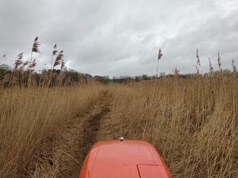 Bund cutting at Hen Reedbeds – Jamie Smith