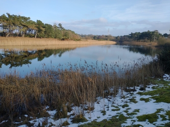 Lound Lakes after the snow – Andrew Hickinbotham