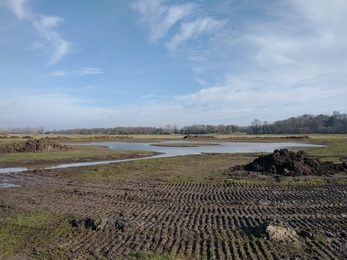 Scrape creation work at Oulton Marshes – Ellen Shailes 