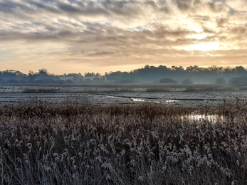 Oulton Marshes – Dan Doughty