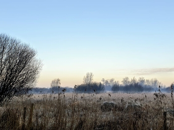 Oulton Marshes – Dan Doughty