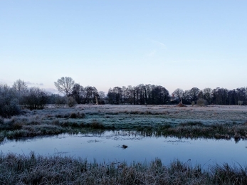 Darsham Marshes in the frost - Dan Doughty