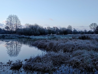 Darsham Marshes in the frost - Dan Doughty