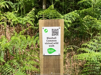 Virtual Wild Walk QR code at Blaxhall Common