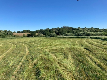 View from the cab. Matt Gooch cutting Oulton Marshes