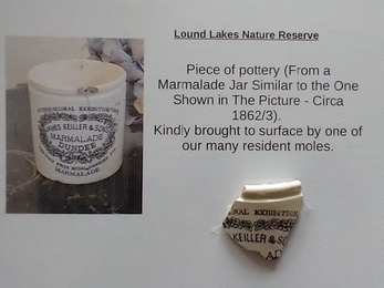 Similar jar to pottery found at Lound Lakes circa 1862 - Andrew Hickinbotham