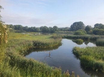 Double decker hide view – Joe Bell-Tye