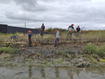 Path reinforcing at Hazlewood Marshes