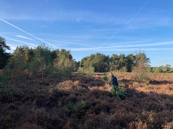 Before volunteer work party at Blaxhall Common