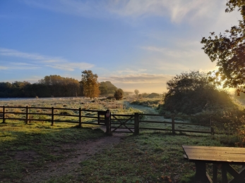 Frost at Redgrave & Lopham Fen – David Stansfeld