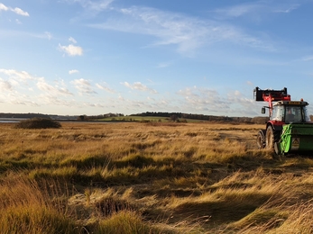 Cutting skylark plots at Levington Lagoon – Rachel Norman 