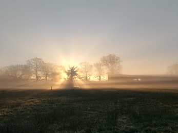 Sunrise at Carlton Marshes – Lewis Yates 