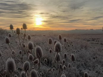 Frosty sunrise at Carlton Marshes - Gavin Durrant