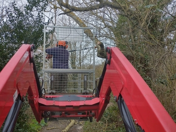 Tree safety work – Dan Doughty 