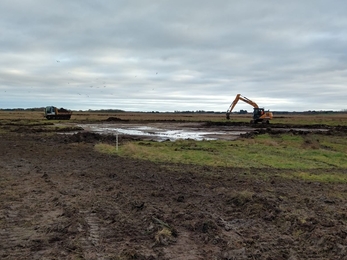 Scrape creation at Snape Marshes – Andrew Excell 