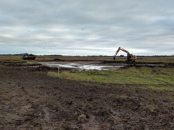 Scrape creation at Snape Marshes - Andrew Excell