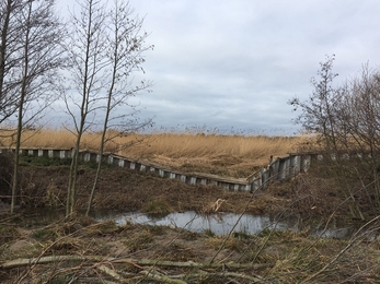 River wall breach and damage at Carlton Marshes