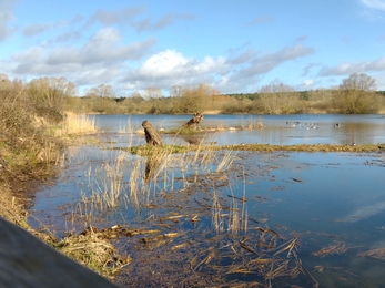 View from Bernard's hide – Michael Andrews 