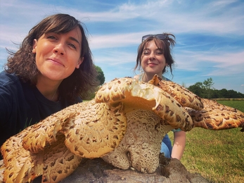 Lucy and Katherine, standing behind a large fungus - dryad's saddle