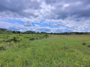 Black Bourn Valley showing results of natural regeneration – Graham Hart 