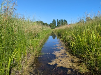 Foot drain at Church Farm – Jamie Smith 