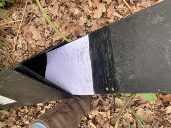 mammal tunnel with foot prints