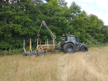 Coppice logs delivered to Carlton – Lewis Yates 