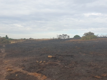 Aftermath of the fire on Blackheath – Dan Doughty