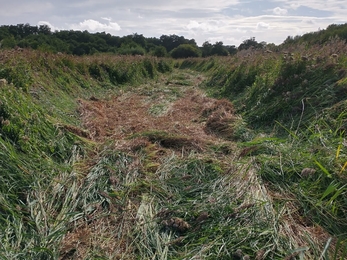 SSSI area of Sprat’s Water, Carlton Marshes - Lewis Yates 