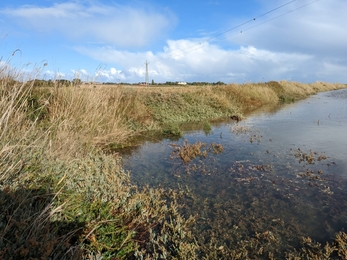 Checking for tidal surge damage - Jamie Smith 