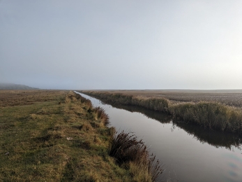 Dingle Marshes – Jamie Smith 