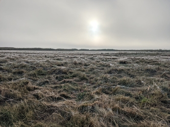 Dingle Marshes – Jamie Smith 