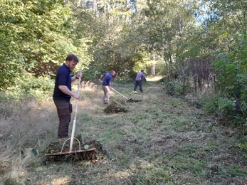 Ride mowing at Bonny Wood - Alex Lack 