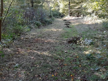 Ride mowing and raking at Bonny Wood - Alex Lack 