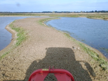 Cormorant island gets a trim - Andy Hickinbotham