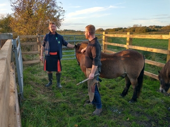 Andrew Hickinbotham helps the farrier at Carlton for a regular health check of ponies’ feet - Lewis Yates 